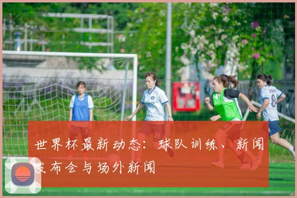 世界杯最新动态:球队训练、新闻发布会与场外新闻