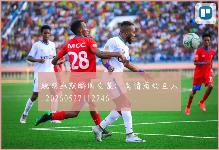 姚明幽默瞬间合集:高情商的巨人_20260527112246