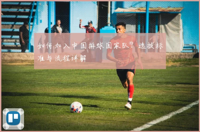 如何加入中国排球国家队?选拔标准与流程详解