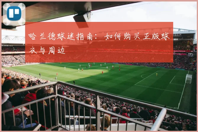 哈兰德球迷指南:如何购买正版球衣与周边