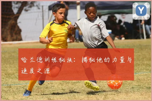 哈兰德训练秘诀:揭秘他的力量与速度之源