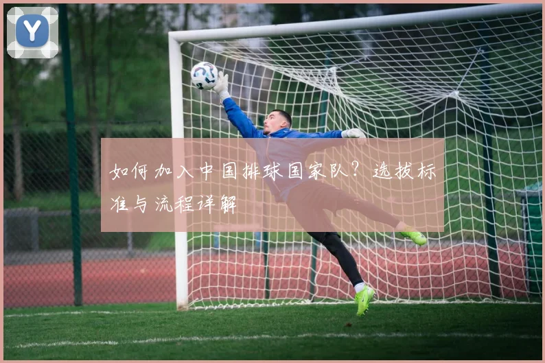 如何加入中国排球国家队?选拔标准与流程详解